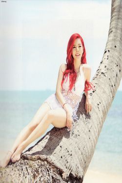 一定是我打开的方式不对