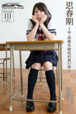 侠盗联盟粤语