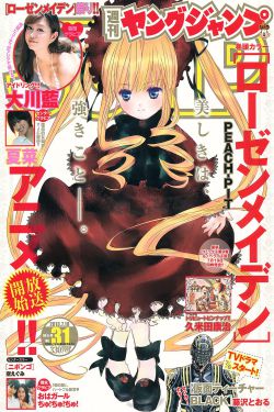 令人心动的房东小姐